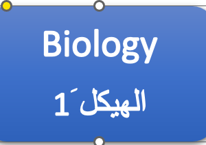 الهيكل 1- الأحياء  - التاسع المتقدم