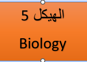 الهيكل 5- الأحياء  - التاسع متقدم