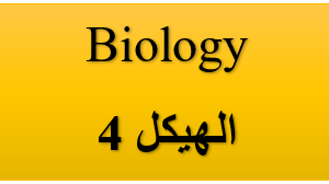 الهيكل 4- الأحياء  - التاسع متقدم