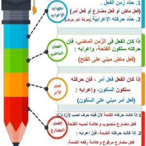 المحاضرة الأولى ( الفعل وإعرابه )