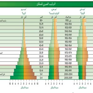 المحاضرة الثانية ( السكان )