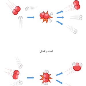 المحاضرة التاسعة عشر -  حل تدريبات وحدة سرعة التفاعل