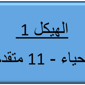 الاحياء  -  الهيكل 1 - 11 متقدم