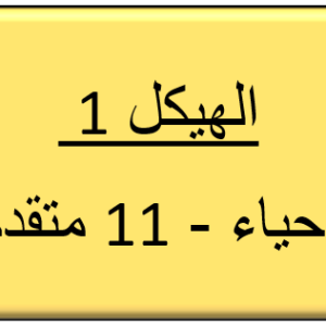 الهيكل 2 -الاحياء - 11 متقدم
