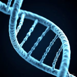 المحاضرة الأولى - 12 متقدم - الدرس الثالث DNA - النسخ والترجمة