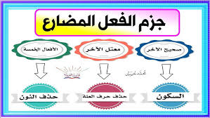 المحاضرة الثانية - فن الموشحات وجزم المضارع