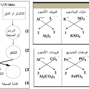 المحاضرة الرابعة - المول وعدد أفوجادرو - 10 متقدم