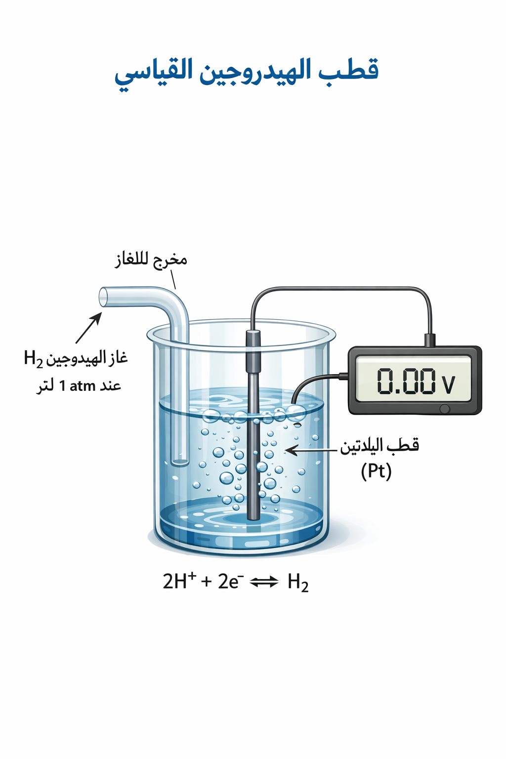 المحاضرة الثانية – قطب الهيدروجين القياسي – 12 متقدم – كيمياء