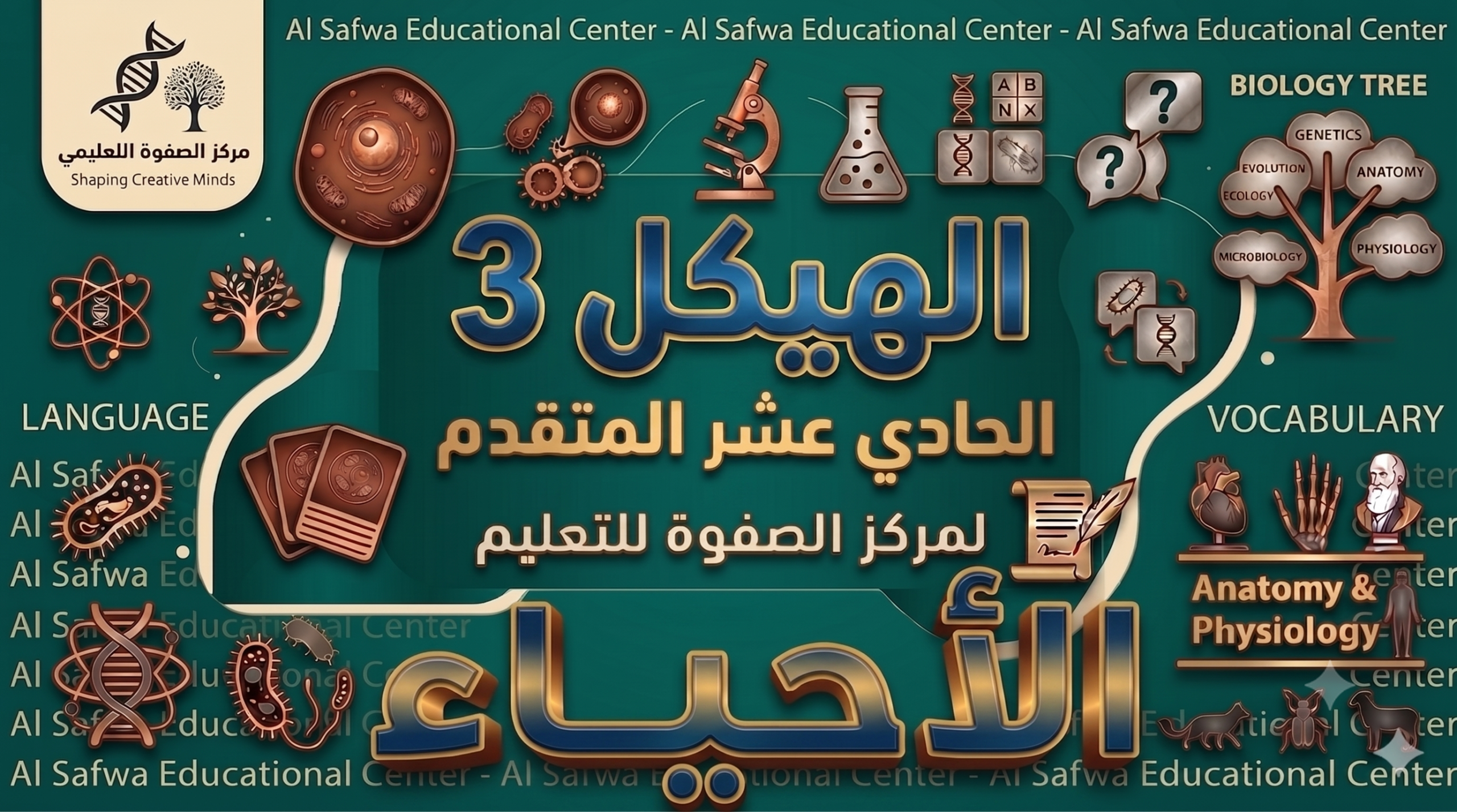 الهيكل 3 – احياء – 11 متقدم