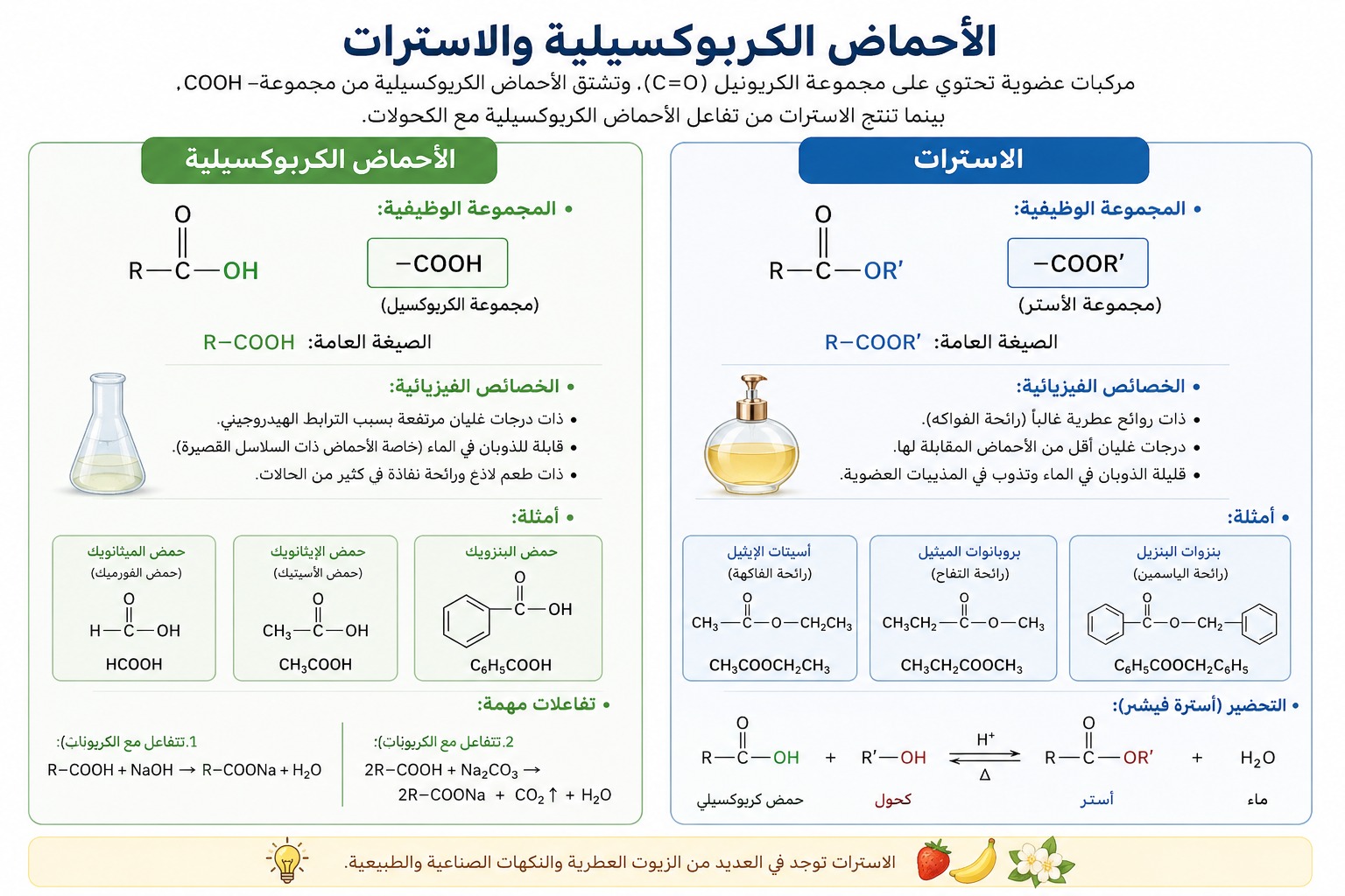 المحاضرة الثالثة والعشرون – الاسترات والاميدات -12 متقدم – كيمياء