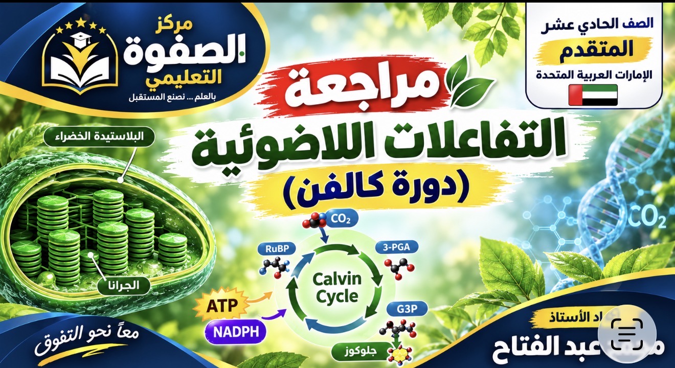 المحاضرة الرابعة التفاعلات اللاضوئية دورة كلفن – الاحياء – 11 متقدم