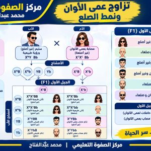 المحاضرة التاسعة - " الصفات المرتبطة بالجنس والصفات المتأثرة بالجنس " + تدريبات ممتازة على الدرس الثاني " الاحياء 12 متقدم