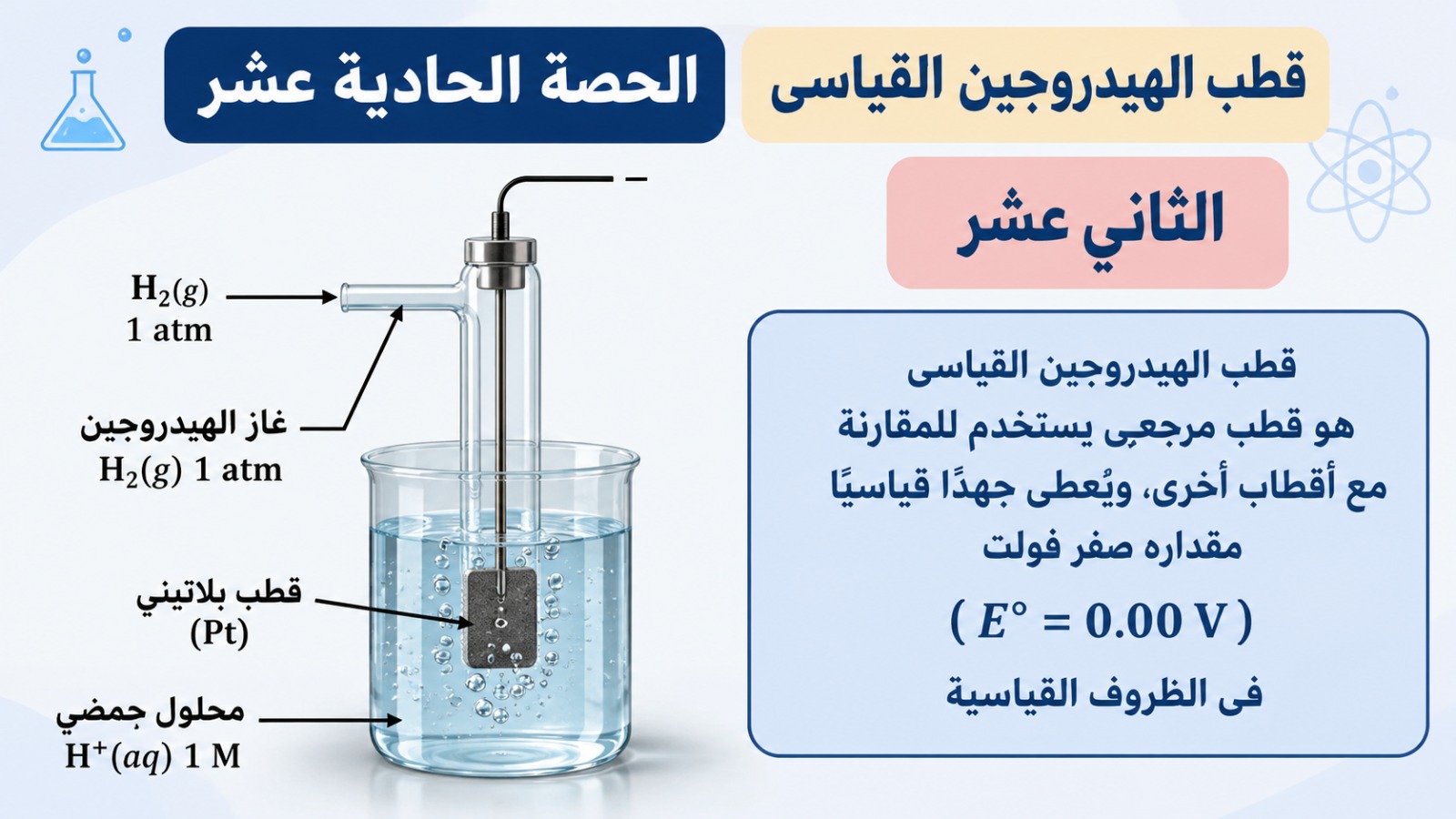 المحاضرة الحادية عشر – قطب الهيدروجين القياسى – الكيمياء – 12 متقدم
